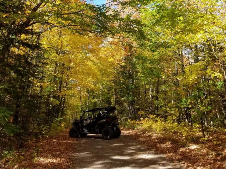 Iron County Forest ATV UTV Trails Northern Wis.