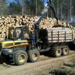 Timber Sale