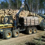 2022 Fall Timber Sale Results