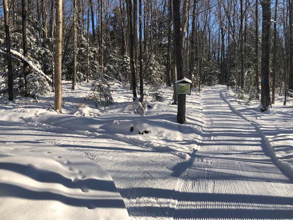 trail intersection